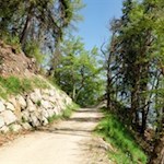 Sanft zieht sich der Marlinger Höhenweg durch die Landschaft