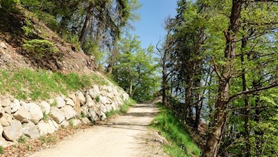 Sanft zieht sich der Marlinger Höhenweg durch die Landschaft