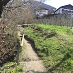 Auf dem Wiesenweg nach St. Georgen