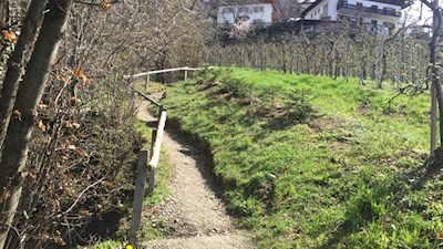 Auf dem Wiesenweg nach St. Georgen