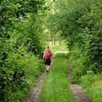 Auf dem Rückweg nach St. Lorenzen