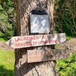 Zur Laureiner Alm führen ein breiter Forstweg und ein schmaler Waldsteig
