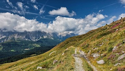 Vor traumhafter Kulisse zurück zur Coltrondoalm 