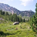 Durch die stille Natur auf die Mittagsspitze