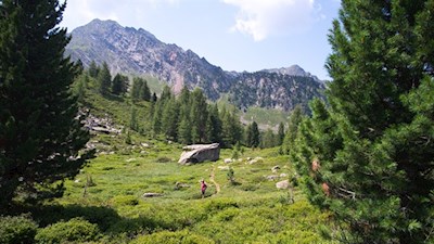 Durch die stille Natur auf die Mittagsspitze