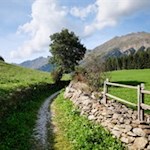 Durch idyllische Wiesen zum Streuweiler Gasse