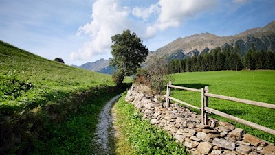 Durch idyllische Wiesen zum Streuweiler Gasse