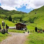 Die Almrosenhütte liegt inmitten malerischer, von Alpenrosen bewachsener Almwiesen