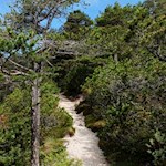 In Richtung Tschafonhütte