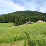 Der Rückweg führt durch saftige Wiesen