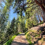Der Rückweg von der Ochsenhütte erfolgt auf dem Hinweg