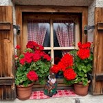 Le finestre amorevolmente decorate della malga Dusler