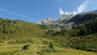 Durch Wiesenhänge in Richtung Landshuter Europahütte