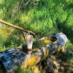 Erfrischende Abkühlung am Perlenweg