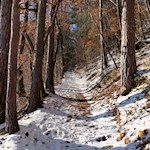 Durch lichte Waldstücke nach Lengstein