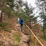 Durch den Wald nach Völser Aicha