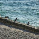 Idillio sul Lago di Garda