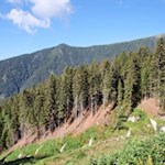 Ab und an gibt der Wald schöne Ausblicke frei