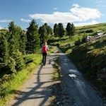 Die weitläufige Villanderer Alm wird von Latschenkiefern bestanden