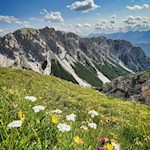 Durch blühende Bergwiesen zur Hochalmhütte Fojedöra 