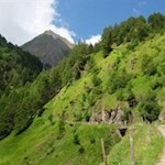 Auf einsamen Wegen zur Weitenbergalm