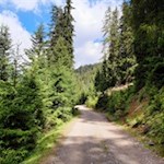 Im angenehmen Anstieg führt der breite Wanderweg zur Stumpfalm