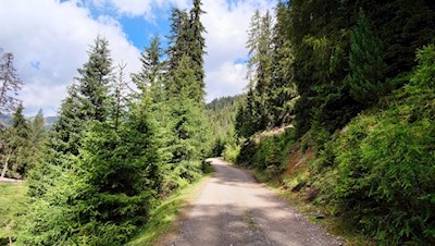 Im angenehmen Anstieg führt der breite Wanderweg zur Stumpfalm