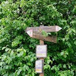 Der Wanderweg Nr. 2 führt zum Völser Weiher