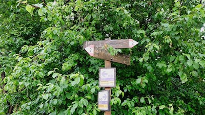 Der Wanderweg Nr. 2 führt zum Völser Weiher
