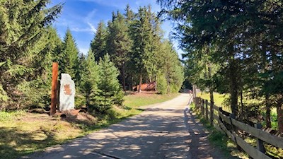 Wandern auf der Rodenecker Alm
