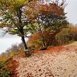 Auf-dem-Kalterer-Höhenweg-entfalten-sich-hie-und-da-verträumte-Ausblicke-auf-den-Kalterer-See