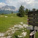 Die Gardenacia Hütte ist Ausgangspunkt einiger Wanderungen