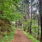 Im sanften Anstieg zur Burg Sprechenstein