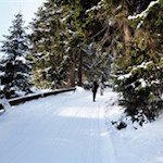 Im sanften Anstieg in Richtung Stadlalm