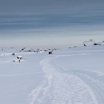 Die Winterwanderung am Würzjoch führt durch eine traumhaft schöne Landschaft