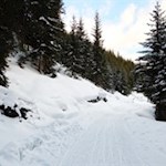 Dank ihrer nördlichen Ausrichtung zählt die Rodelbahn zur Sattelbergalm zu den schneesichersten 