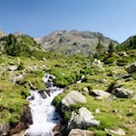 Mit Blick auf die Windschar auf den Bramstaller