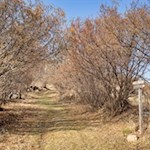 Der Rundweg Spinges führt durch Wiesen, Wälder und Felder