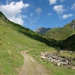 Entlang des Weitenbergbaches 