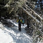 Über den teils baumbestandenen Grat in Richtung Durakopf