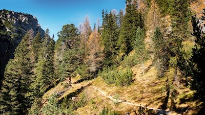 Der Pfad Nr. 19 führt durch einen lauschigen Wald