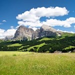 Seiser Alm mit Blick auf den Lang- und Plattkofel