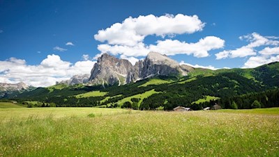 Seiser Alm mit Blick auf den Lang- und Plattkofel