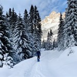 Auf dem Rückweg öffnen sich schöne Ausblicke auf den Rosengarten