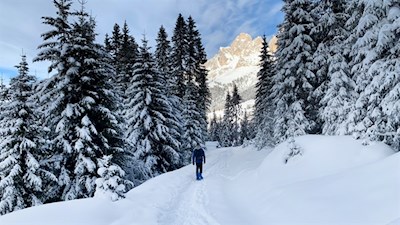 Auf dem Rückweg öffnen sich schöne Ausblicke auf den Rosengarten