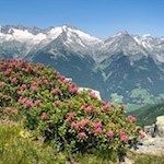 Bereits während des Anstiegs auf den Pojenspitz öffnen sich malerische Ausblicke