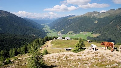 Von der Uwaldalm steigt der Weg auf das Hochkreuz an 