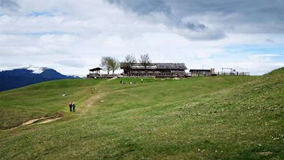 Inmitten einer gemütlichen Almwiese liegt die beliebte Tuffalm