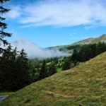 Auf breitem Forstweg hinauf zum Latzfonser Kreuz