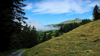 Auf breitem Forstweg hinauf zum Latzfonser Kreuz